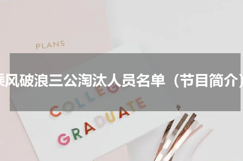 乘风破浪三公淘汰人员名单（节目简介）