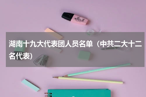 湖南十九大代表团人员名单（中共二大十二名代表）