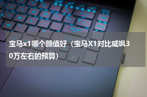 宝马x1哪个颜值好（宝马X1对比威飒30万左右的预算）