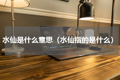 水仙是什么意思（水仙指的是什么）