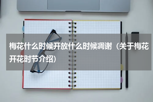 梅花什么时候开放什么时候凋谢（关于梅花开花时节介绍）