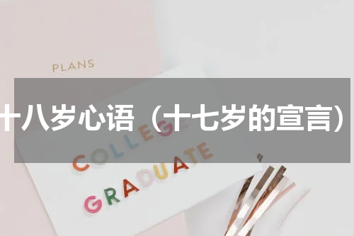 十八岁心语（十七岁的宣言）