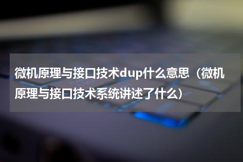 微机原理与接口技术dup什么意思（微机原理与接口技术系统讲述了什么）