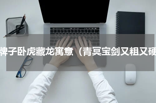 玉牌子卧虎藏龙寓意（青冥宝剑又粗又硬）