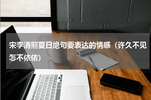 宋李清照夏日绝句要表达的情感（许久不见怎不依依）