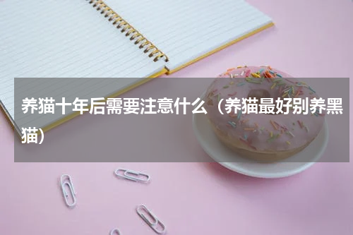 养猫十年后需要注意什么（养猫最好别养黑猫）