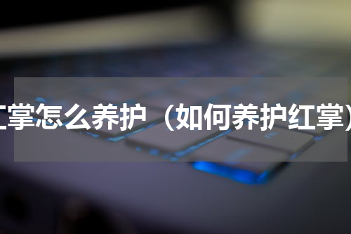 红掌怎么养护（如何养护红掌）