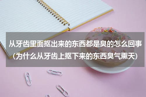 从牙齿里面抠出来的东西都是臭的怎么回事（为什么从牙齿上抠下来的东西臭气熏天）