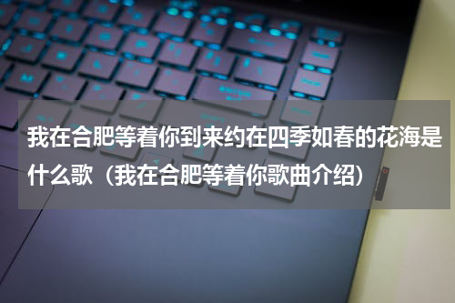 我在合肥等着你到来约在四季如春的花海是什么歌（我在合肥等着你歌曲介绍）