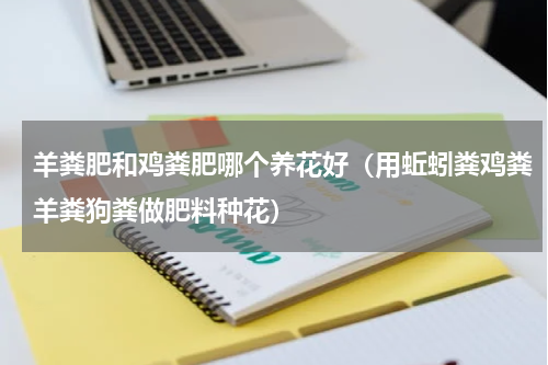 羊粪肥和鸡粪肥哪个养花好（用蚯蚓粪鸡粪羊粪狗粪做肥料种花）