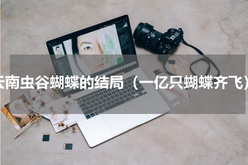 云南虫谷蝴蝶的结局（一亿只蝴蝶齐飞）