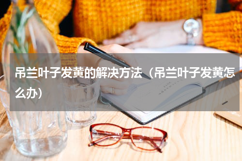 吊兰叶子发黄的解决方法（吊兰叶子发黄怎么办）