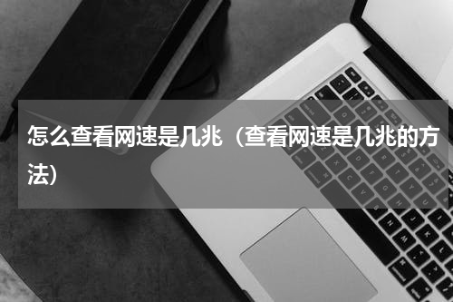 怎么查看网速是几兆（查看网速是几兆的方法）
