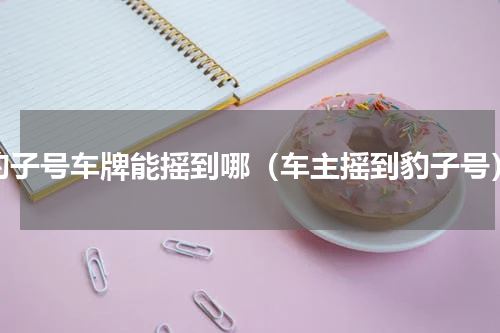 豹子号车牌能摇到哪（车主摇到豹子号）