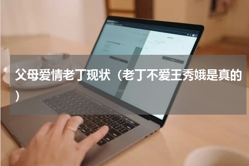 父母爱情老丁现状（老丁不爱王秀娥是真的）