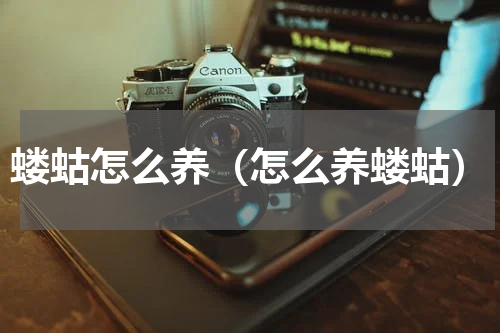 蝼蛄怎么养（怎么养蝼蛄）