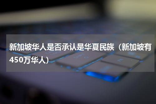 新加坡华人是否承认是华夏民族（新加坡有450万华人）