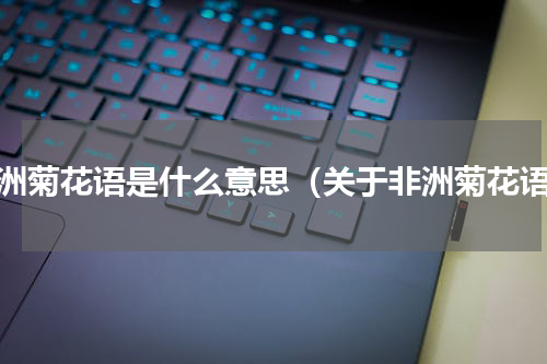 非洲菊花语是什么意思（关于非洲菊花语）