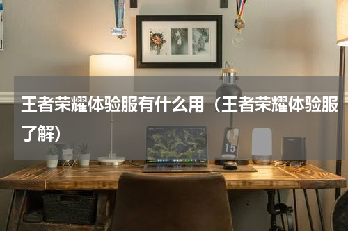 王者荣耀体验服有什么用（王者荣耀体验服了解）