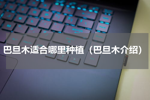 巴旦木适合哪里种植（巴旦木介绍）