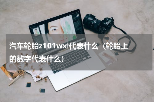 汽车轮胎z101wxl代表什么（轮胎上的数字代表什么）