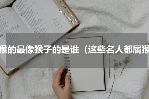 属猴的最像猴子的是谁（这些名人都属猴）