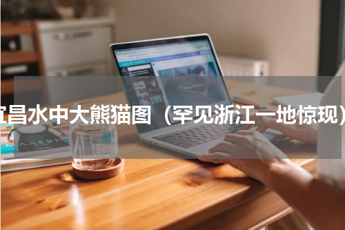 宜昌水中大熊猫图（罕见浙江一地惊现）