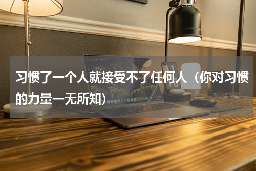 习惯了一个人就接受不了任何人（你对习惯的力量一无所知）