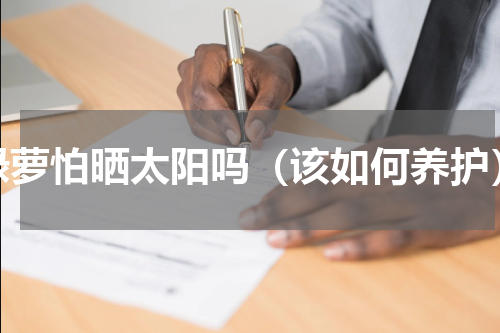 绿萝怕晒太阳吗（该如何养护）