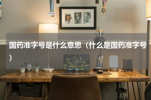 国药准字号是什么意思（什么是国药准字号）