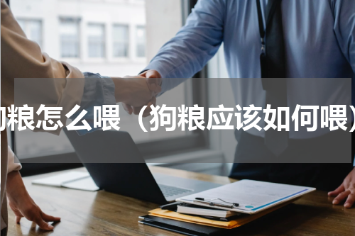 狗粮怎么喂（狗粮应该如何喂）