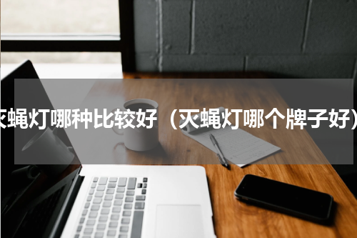 灭蝇灯哪种比较好（灭蝇灯哪个牌子好）