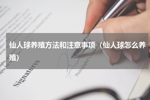 仙人球养殖方法和注意事项（仙人球怎么养殖）