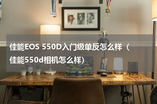 佳能EOS 550D入门级单反怎么样（佳能550d相机怎么样）