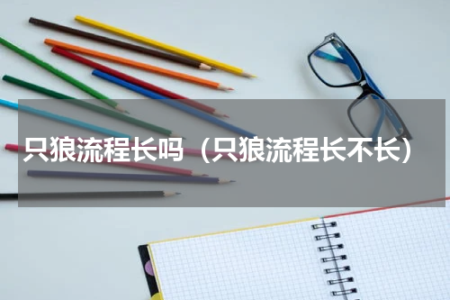 只狼流程长吗（只狼流程长不长）