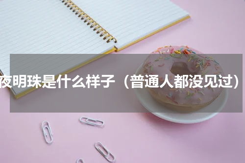 夜明珠是什么样子（普通人都没见过）