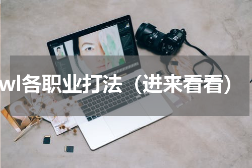 bwl各职业打法（进来看看）