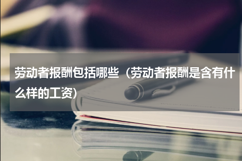 劳动者报酬包括哪些（劳动者报酬是含有什么样的工资）