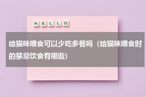 给猫咪喂食可以少吃多餐吗（给猫咪喂食时的禁忌饮食有哪些）