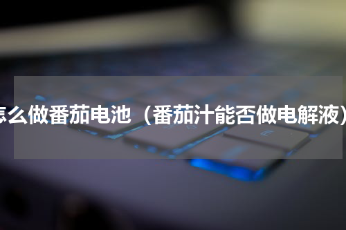 怎么做番茄电池（番茄汁能否做电解液）