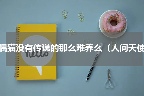 布偶猫没有传说的那么难养么（人间天使）