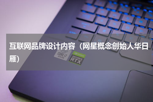 互联网品牌设计内容（网星概念创始人华日雁）