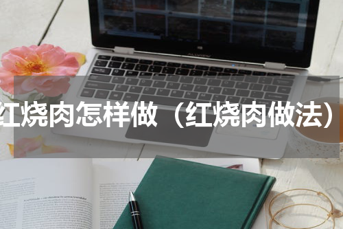 红烧肉怎样做（红烧肉做法）