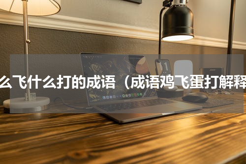 什么飞什么打的成语（成语鸡飞蛋打解释）