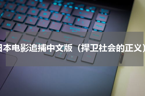 日本电影追捕中文版（捍卫社会的正义）