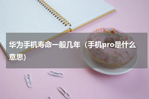 华为手机寿命一般几年（手机pro是什么意思）