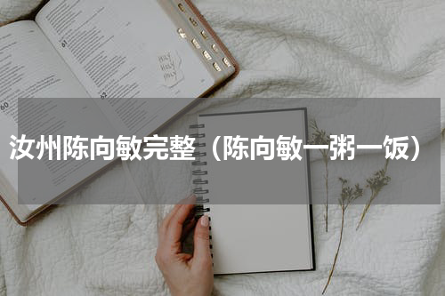 汝州陈向敏完整（陈向敏一粥一饭）