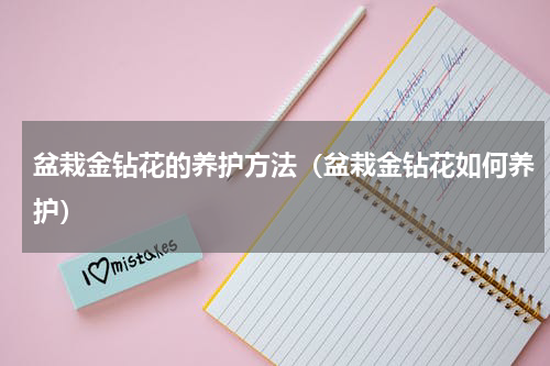 盆栽金钻花的养护方法（盆栽金钻花如何养护）