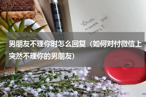 男朋友不理你时怎么回复（如何对付微信上突然不理你的男朋友）