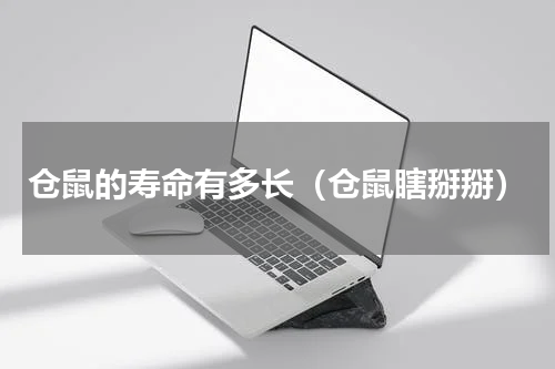 仓鼠的寿命有多长（仓鼠瞎掰掰）